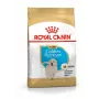 Sausā suņu barība Royal Canin Golden Retriever Junior 12 kg — mājputnu gaļa, 29% olbaltumvielas, 16% tauki