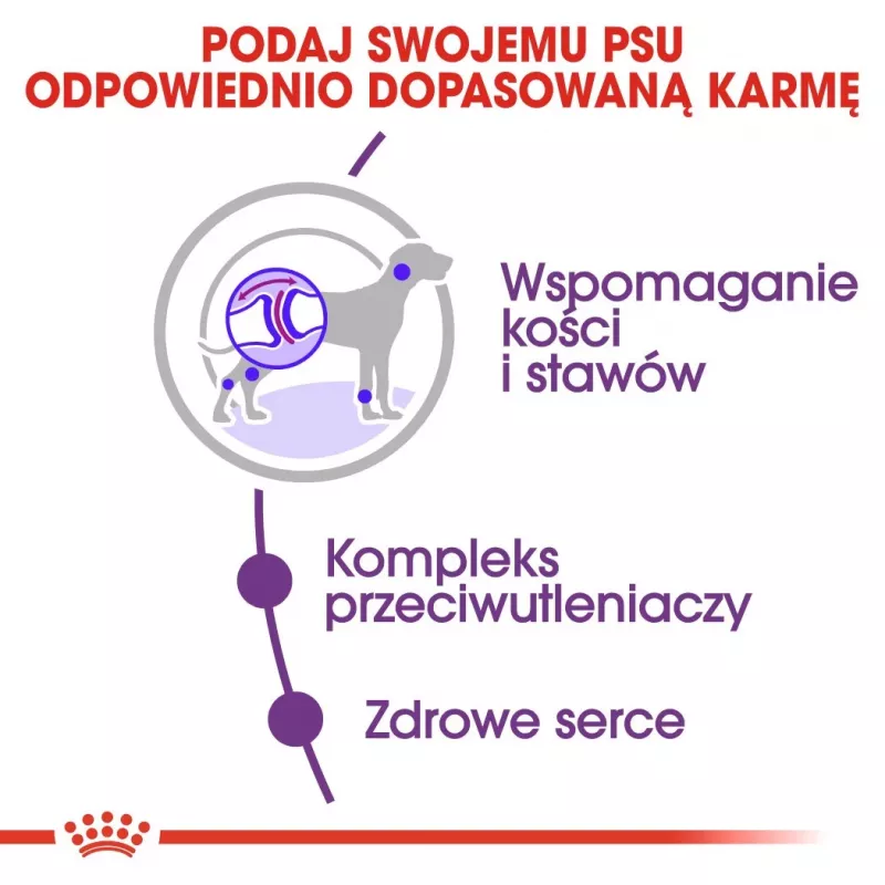 ROYAL CANIN Giant Adult - sausā barība suņiem - 15 kg