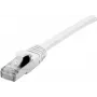 Dexlan 858646 Ethernet Patch Cable Balts