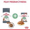 Royal Canin Digestive Care Adult sausā barība kaķiem, 10 kg, zivis, mājputnu gaļa, rīsi, dārzeņi