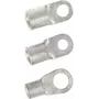 LappKabel Gredzenveida kabeļa uzgalis, šķērsgriezums (maks.)=1,5 mm², cauruma diametrs=4,3 mm, neizolēts metāls, 63204045, 100 gab.