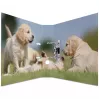 Ringa mape HERMA 7165 A4 D-veida gredzens