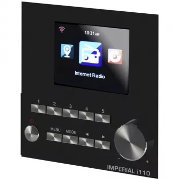 DABMAN i110 WLAN interneta radio + multivides atskaņotājs, koka korpuss