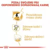 Sausā barība suņiem Royal Canin Labrador Retriever Adult 12 kg – Mājputnu gaļa, 30% olbaltumvielas, 13% tauki