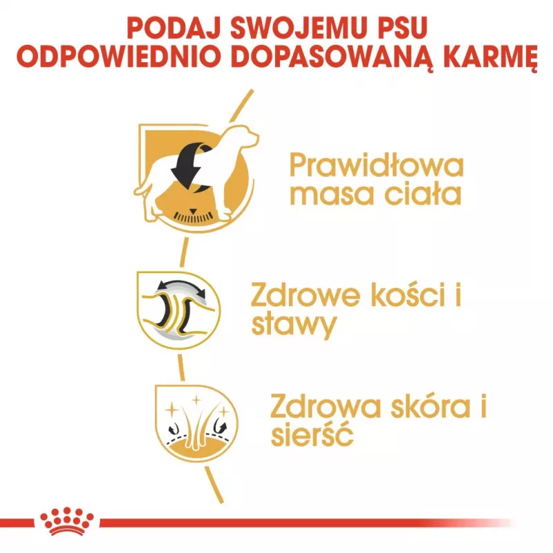 Sausā barība suņiem Royal Canin Labrador Retriever Adult 12 kg – Mājputnu gaļa, 30% olbaltumvielas, 13% tauki