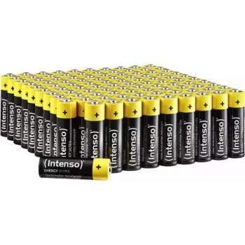 Intenso 100X AA sārma baterija Mignon 100 iepakojums (7501521)