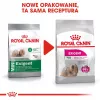 Sausā suņu barība Royal Canin Mini Exigent 1 kg — mazo šķirņu pieaugušiem suņiem