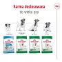 ROYAL CANIN Mini Ageing Adult +12 sausā barība suņiem - 3,5 kg