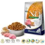 FARMINA N&D Ancestral Grain Puppy Medium&Maxi Lamb - sausā barība suņiem - 12 kg