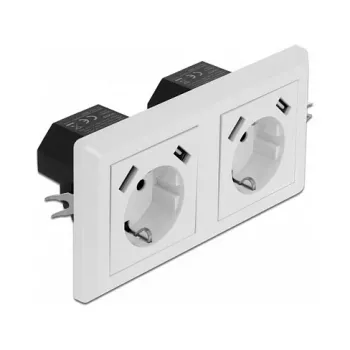 Sienas kontaktligzda DeLOCK 2-vietīga ar 4 USB portiem 2 x 2,8 A