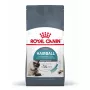 Sausā kaķu barība Royal Canin Hairball Care 10 kg — pieaugušiem kaķiem, kukurūza un mājputni