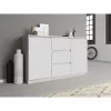 Topeshop 2D3S BIEL kumode