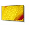 NEC MultiSync M651-2 65 collu LED kioska displejs 4K Ultra HD 500 cd/m²