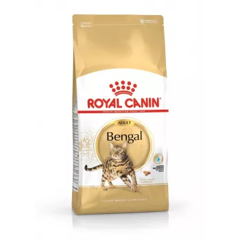 Sausā kaķu barība Royal Canin Bengal Adult 10 kg — Vistas gaļa, 40% olbaltumvielas, 18% tauki