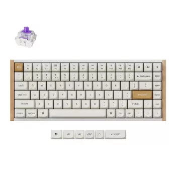 Bezvadu mehāniskā tastatūra Keychron K2 Special Edition White RGB Backlit, kompakts 75% izkārtojums