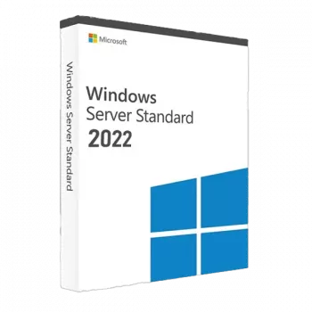 Microsoft Windows Server 2022 Standard (licence)