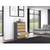 Kumode Topeshop M5 ANTRACYT/ARTISAN 5 atvilktnes, Antracīta ozols, 700×1095×400 mm