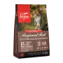 ORIJEN Regional Red Cat - sausā barība kaķiem - 1,8kg