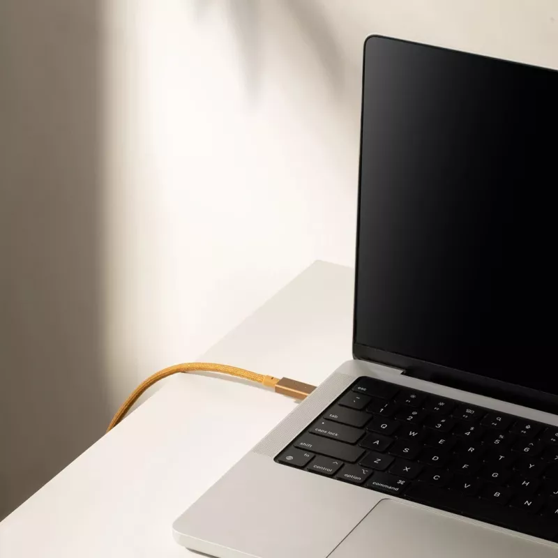Kabelis USB-C uz USB-C Native Union Belt Cable Pro 240W, 2,4 m, USB 2.0, 0,48 Gbit/s, Zaļš