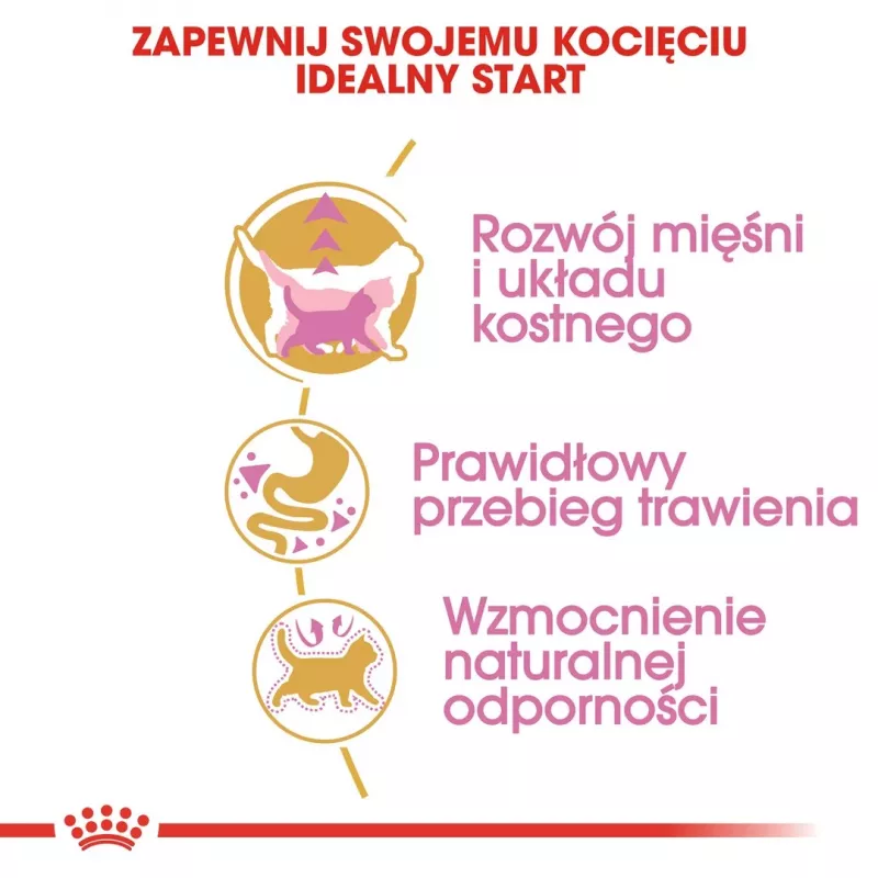 Sausā kaķu barība Royal Canin British Shorthair Kitten 2 kg – vista, 38% olbaltumvielas, 20% tauki, augšanas formula