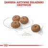 Royal Canin Mini Sterilised sausā barība pieaugušu suņu ēdināšanai, 8 kg