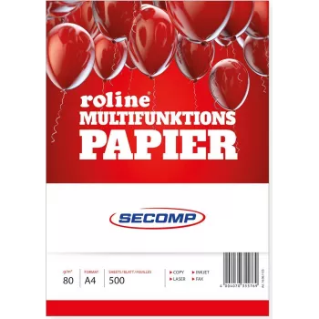 Drukāšanas papīrs ROLINE 16061125 A4 500 loksnes Balts