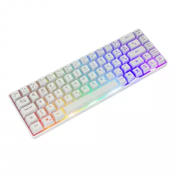 Tastatūra White Shark RONIN balta USB QWERTY 68 taustiņi LED