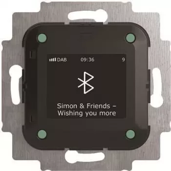 Busch-Jaeger Busch-Radio BTconnect DAB+ ar Bluetooth saskarni 8217 U-101 (2CKA008200A0278)