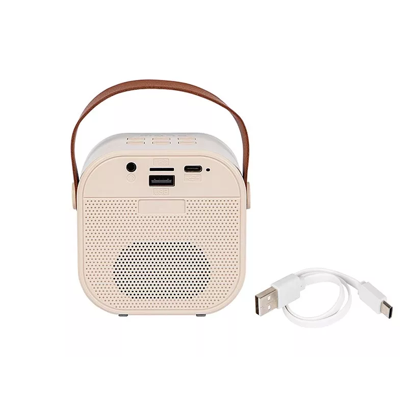 Karaoke skaļrunis BLOW KARAOKE RGB Bluetooth 30W