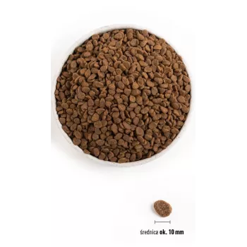 ORIJEN Six Fish Cat - sausā barība kaķiem - 5,4 kg