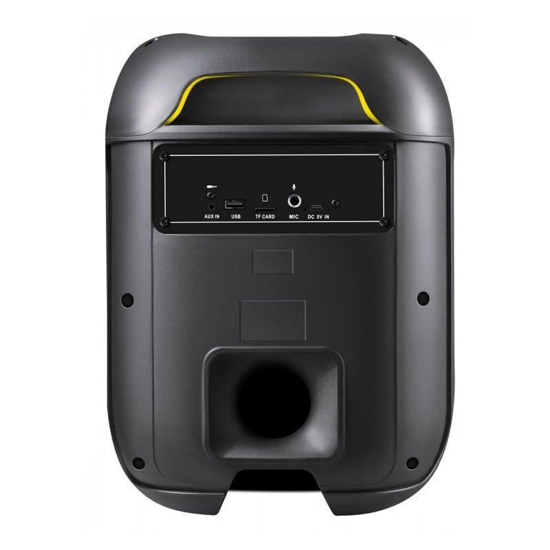 Pārnēsājams Bluetooth skaļrunis Boome R 65W