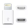 Adapteris USB Micro — Lightning
