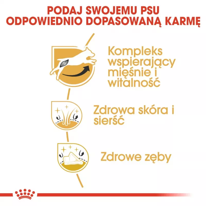 ROYAL CANIN Jack Russell Adult - sausā barība suņiem - 7.5 kg