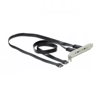 Slot Bracket DeLOCK 89935 ar 2 x USB Type-C portiem