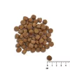 Sausā suņu barība kucēniem VETEXPERT Raw Paleo Healthy Grain Salmon and Barley 10 kg, proteīns 29%, tauki 17%, mitrums 9%