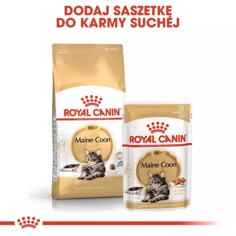 Royal Canin FBN Maine Coon Adult sausais kaķu ēdiens, 10 kg