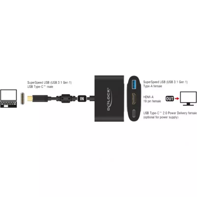DeLOCK ārējais video adapteris VL101 USB-C 3.1 → HDMI, pelēks, mazumtirdzniecības iepakojums (62991)
