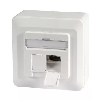 EFB-Elektronik Datu ligzda Cat.6A 500MHz augšā/lejā, virsmas montāža, 2xRJ45, RAL9010