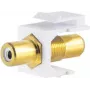 Keystone modulis ShiverPeaks 08-10065 plakans zelta balts RCA