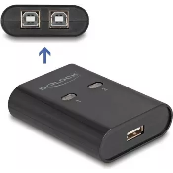 DeLOCK USB 2.0 koplietošanas slēdzis perifērijas ierīcēm
