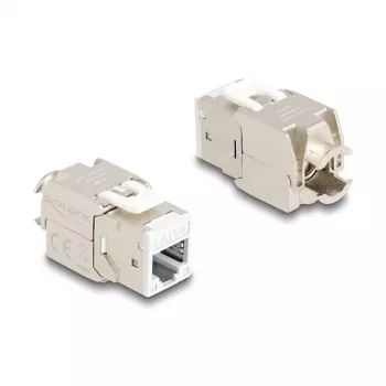 DeLOCK 88119 keystone modulis plakans balts RJ-45 10 gab.