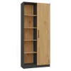 Biroja grāmatu skapja tops RD-80 ANT/ART KPL, 10 plaukti, skaidu plātne, 800×300×1820 mm