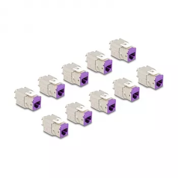 DeLOCK 88121 keystone modulis, plakans, violets, RJ-45, 10 gab.
