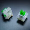 Razer RC21-02040200-R3M1 zaļš caurspīdīgs taustiņslēdzis 36 gab.
