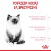 Royal Canin FHN Kitten sausais ēdiens kaķēniem, 4 kg