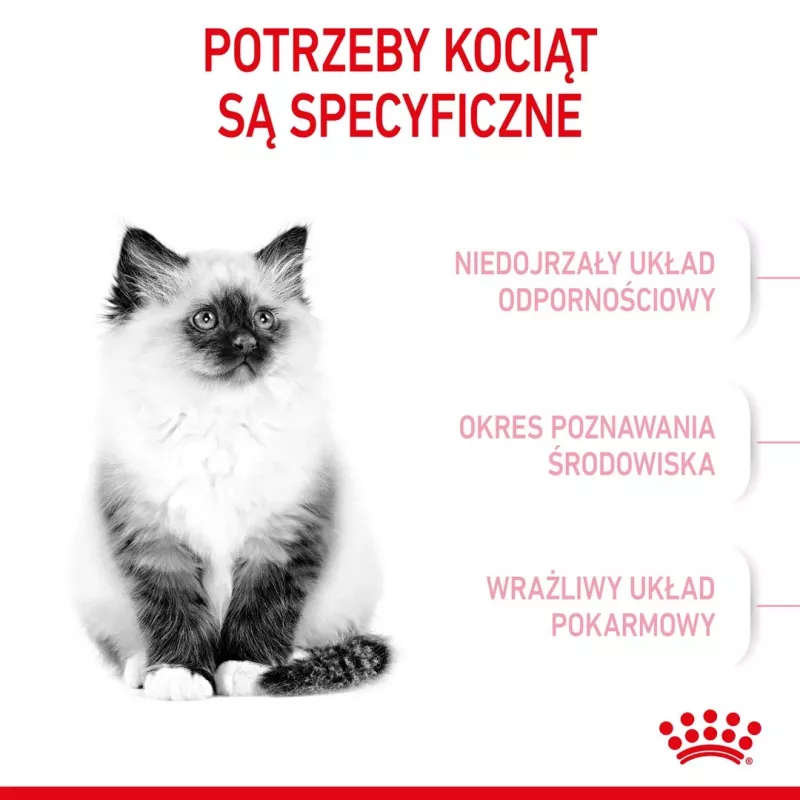 Royal Canin FHN Kitten sausais ēdiens kaķēniem, 4 kg