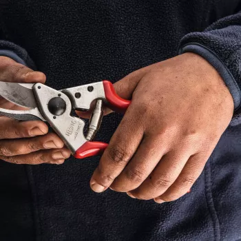 Felco kreilis atzarošanas šķēres | FELCO 16