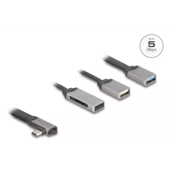 DeLOCK 64303 USB 3.2 Gen 1 Type-C Hubs 5000 Mbit/s Pelēks