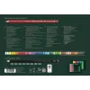 Eļļas bāzes zīmuļu komplekts Faber-Castell Polychromos & Pitt Graphite Matt 48 gab., daudzkrāsains