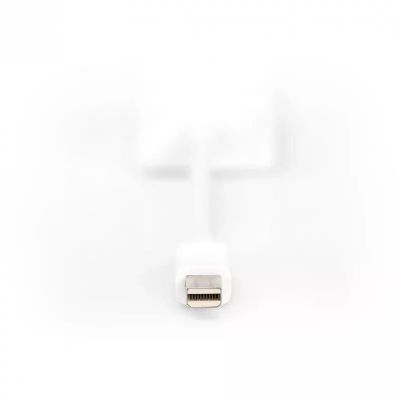 Digitus DB-340407-001-W DisplayPort–VGA adaptera kabelis